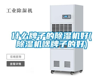 行業(yè)新聞什么牌子的除濕機好(除濕機啥牌子的好)
