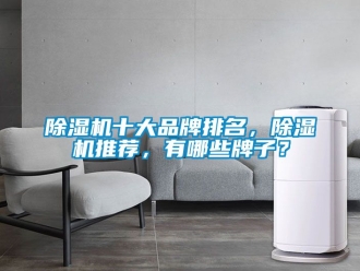 企業新聞除濕機十大品牌排名，除濕機推薦，有哪些牌子？