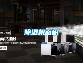 常見問題除濕機面積