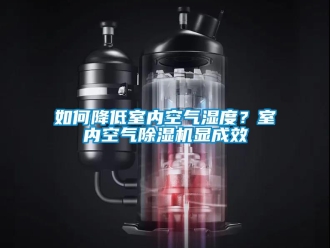 常見問題如何降低室內空氣濕度？室內空氣除濕機顯成效