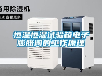 知識百科恒溫恒濕試驗箱電子膨脹閥的工作原理