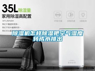 行業新聞除濕機怎樣除濕把空氣濕度轉成水排出