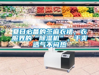 行業新聞夏日必備的苧麻衣裙，衣服界的“除濕機”，干爽透氣不悶熱