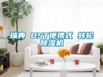 常見問題瑞典 DST便攜式 轉輪除濕機