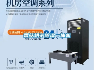 知識百科香菇烘干除濕一體機