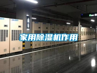 行業新聞家用除濕機作用