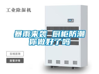 常見問題暴雨來襲 廚柜防潮你做好了嗎