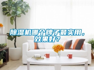 行業新聞除濕機哪個牌子最實用，效果好？