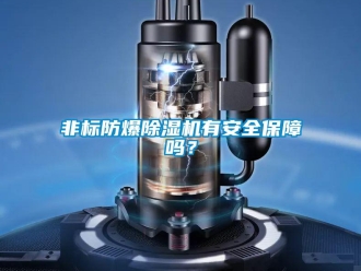 常見問題非標(biāo)防爆除濕機(jī)有安全保障嗎？