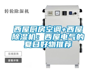 行業(yè)新聞西屋廚房空調(diào)+西屋除濕機：西屋電氣的夏日好物推薦