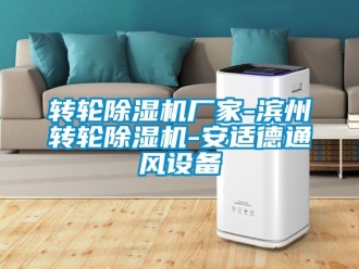 企業新聞轉輪除濕機廠家-濱州轉輪除濕機-安適德通風設備