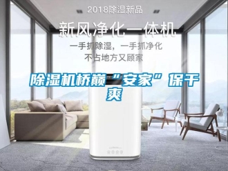 企業新聞除濕機橋巔“安家”保干爽
