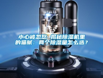 行業新聞小心被忽悠 揭秘除濕機里的貓膩：兩個除濕量怎么選？