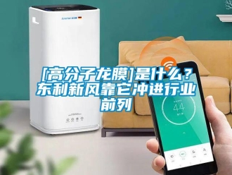 企業(yè)新聞[高分子龍膜]是什么？東利新風(fēng)靠它沖進(jìn)行業(yè)前列