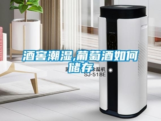 常見(jiàn)問(wèn)題酒窖潮濕,葡萄酒如何儲(chǔ)存
