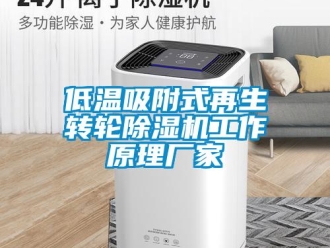 企業新聞低溫吸附式再生轉輪除濕機工作原理廠家