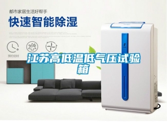 常見問題江蘇高低溫低氣壓試驗(yàn)箱