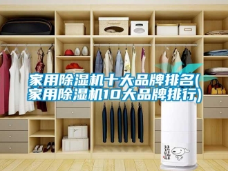企業新聞家用除濕機十大品牌排名(家用除濕機10大品牌排行)