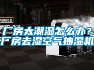 企業新聞廠房太潮濕怎么辦？廠房去濕空氣抽濕機