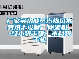 企業新聞廠家多功能蒸汽熱風木材烘干設備- 除濕機 -紅木烘干箱- 木材烘干機