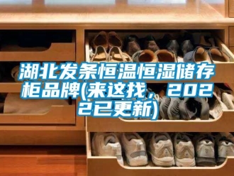 知識百科湖北發條恒溫恒濕儲存柜品牌(來這找，2022已更新)