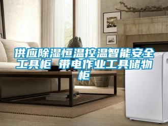 知識百科供應除濕恒溫控溫智能安全工具柜 帶電作業工具儲物柜