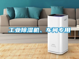 常見問題工業除濕機、車間專用