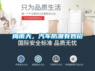 行業(yè)新聞梅雨天，汽車防潮有妙招