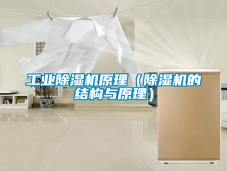 常見問題工業除濕機原理（除濕機的結構與原理）