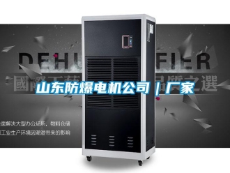 企業新聞山東防爆電機公司｜廠家