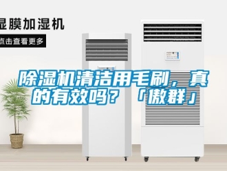 行業新聞除濕機清潔用毛刷，真的有效嗎？「傲群」