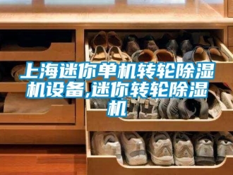常見問題上海迷你單機轉輪除濕機設備,迷你轉輪除濕機