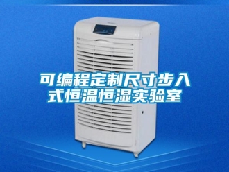 知識百科可編程定制尺寸步入式恒溫恒濕實驗室