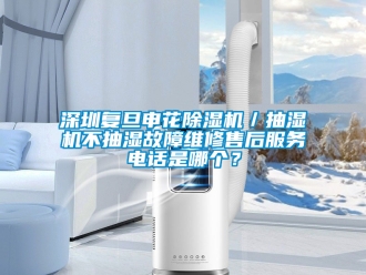 行業(yè)新聞深圳復旦申花除濕機／抽濕機不抽濕故障維修售后服務電話是哪個？