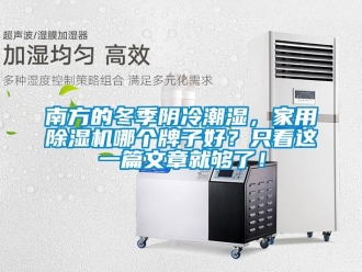 常見問題南方的冬季陰冷潮濕，家用除濕機哪個牌子好？只看這一篇文章就夠了！