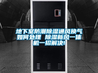 常見問題地下室防潮除濕通風(fēng)換氣如何處理 除濕新風(fēng)一體機一招解決!