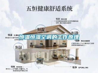 知識(shí)百科恒溫恒濕空調(diào)的工作原理