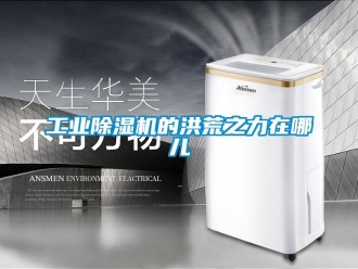 企業新聞工業除濕機的洪荒之力在哪兒