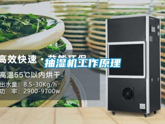 企業(yè)新聞抽濕機(jī)工作原理