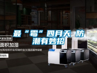 常見問題最“霉”四月天 防潮有妙招