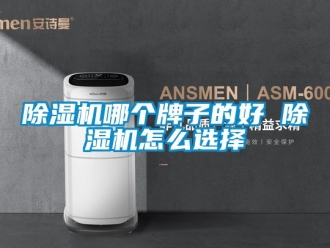 行業新聞除濕機哪個牌子的好 除濕機怎么選擇