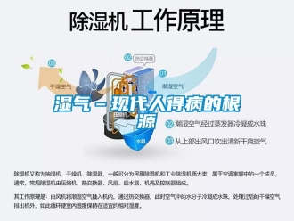 知識百科濕氣–現代人得病的根源