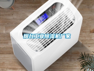 企業(yè)新聞煙臺(tái)工業(yè)除濕機(jī)廠家