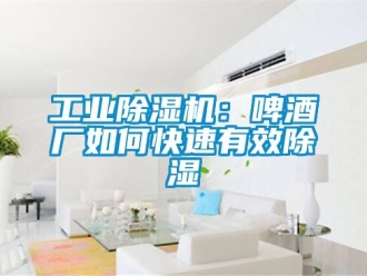 常見問題工業除濕機：啤酒廠如何快速有效除濕
