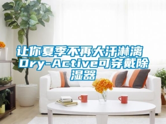 行業(yè)新聞讓你夏季不再大汗淋漓 Dry-Active可穿戴除濕器