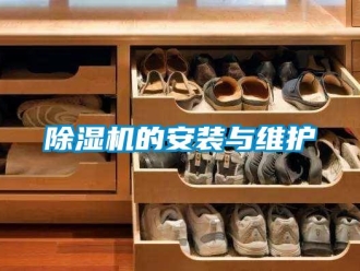 企業新聞除濕機的安裝與維護