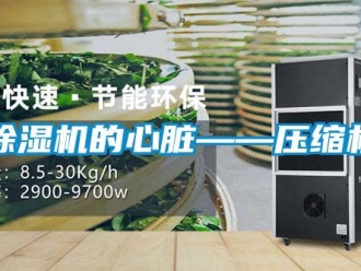 常見問題除濕機的心臟——壓縮機