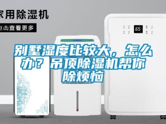 常見問題別墅濕度比較大，怎么辦？吊頂除濕機(jī)幫你除煩惱