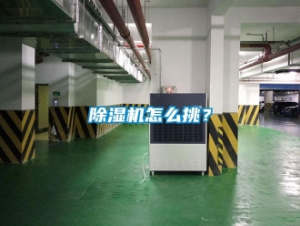 行業新聞除濕機怎么挑？