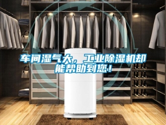 企業新聞車間濕氣大，工業除濕機卻能幫助到您！